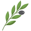 icons8 olives 64